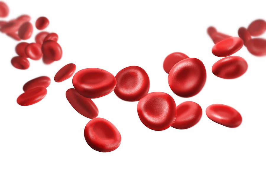 apresentacao_hemacias_conteudo3