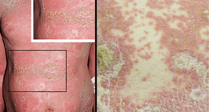 PPG se apresenta.png