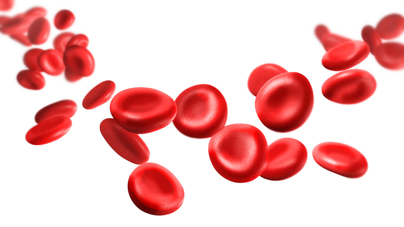 Trayenta® apresenta perfil favorável de segurança e tolerabilidade para todos os grupos de pacientes 