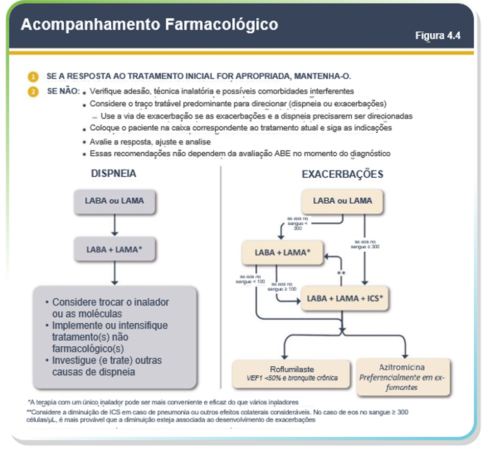 Acompanhamento Farmacologico.png
