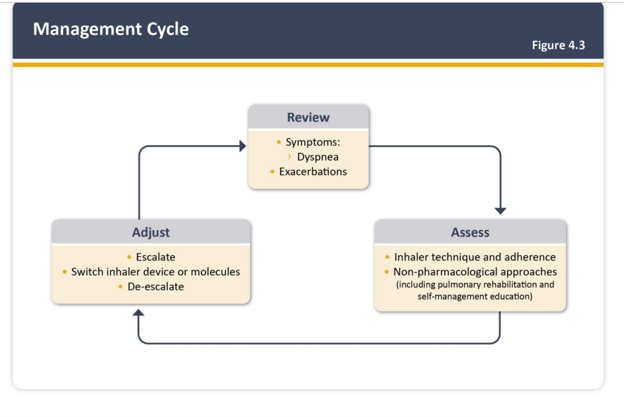 Management Cycle