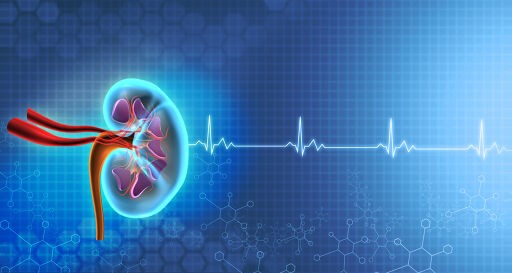 A empagliflozina pode retardar a progressão da doença renal em pacientes com ICFEp?