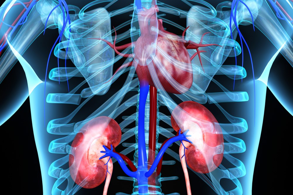 Os efeitos cardiorrenais da Empagliflozina e AR-GLP1 são iguais em pacientes com DM2? Novidades do estudo EMPRISE