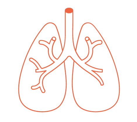 insuficiência cardíaca 