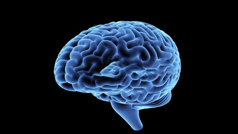 Glioblastoma in focus