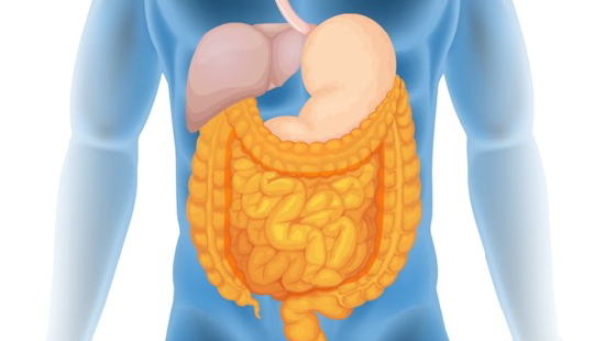 Gastrointestinal cancers in focus