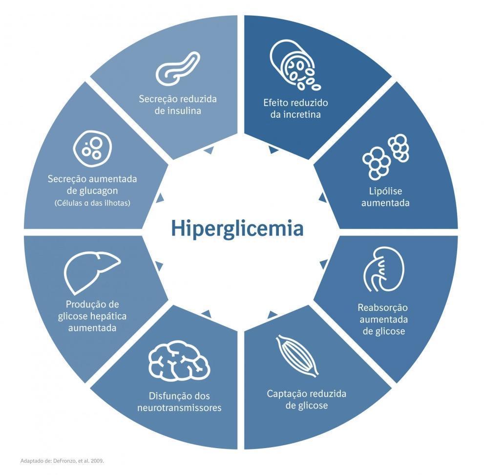 Octeto Fisiopatologia Do Diabetes